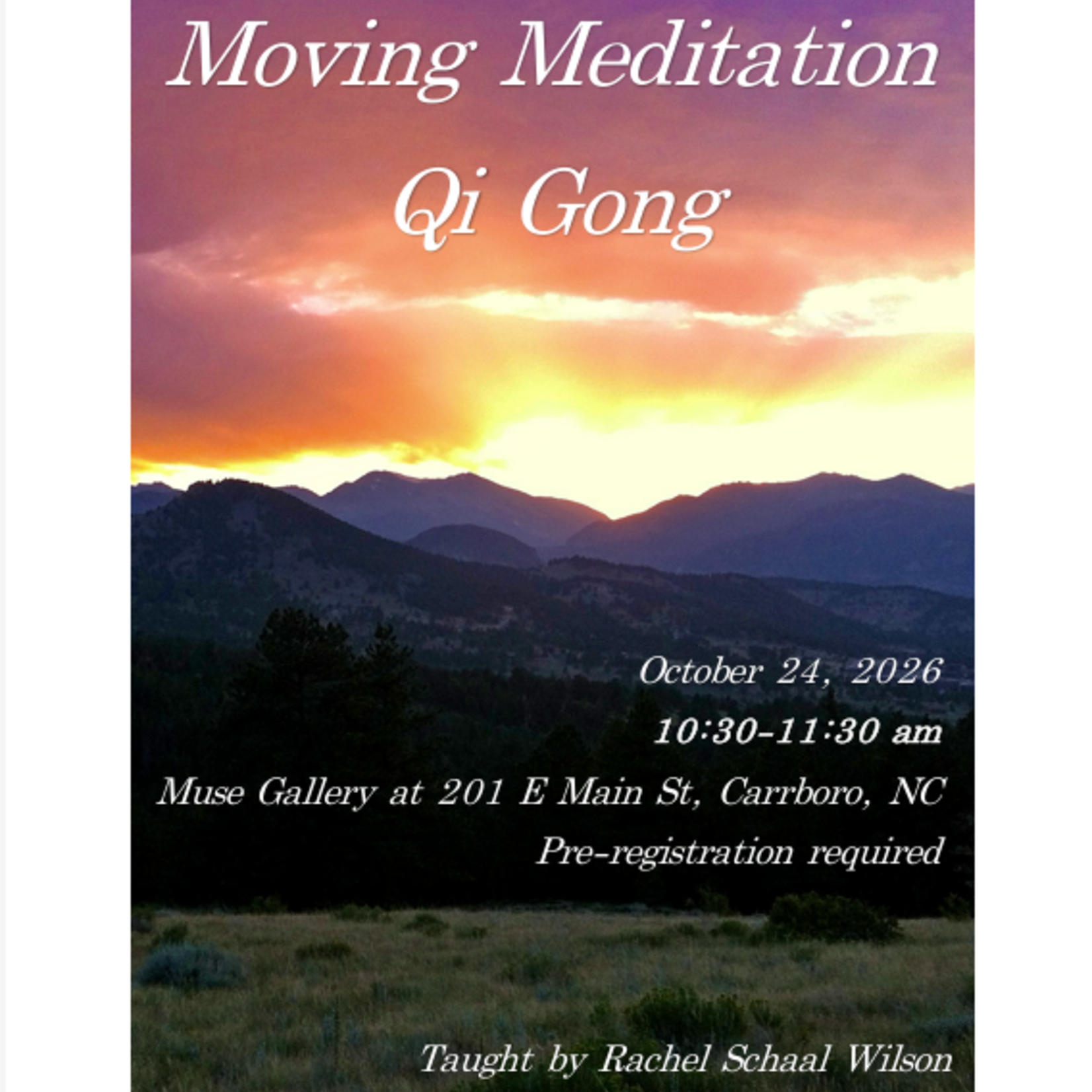 Rachel E Schaal Wilson Moving Meditation Qigong with Rachel (October 24th , 10:30 am - 11:30 am)