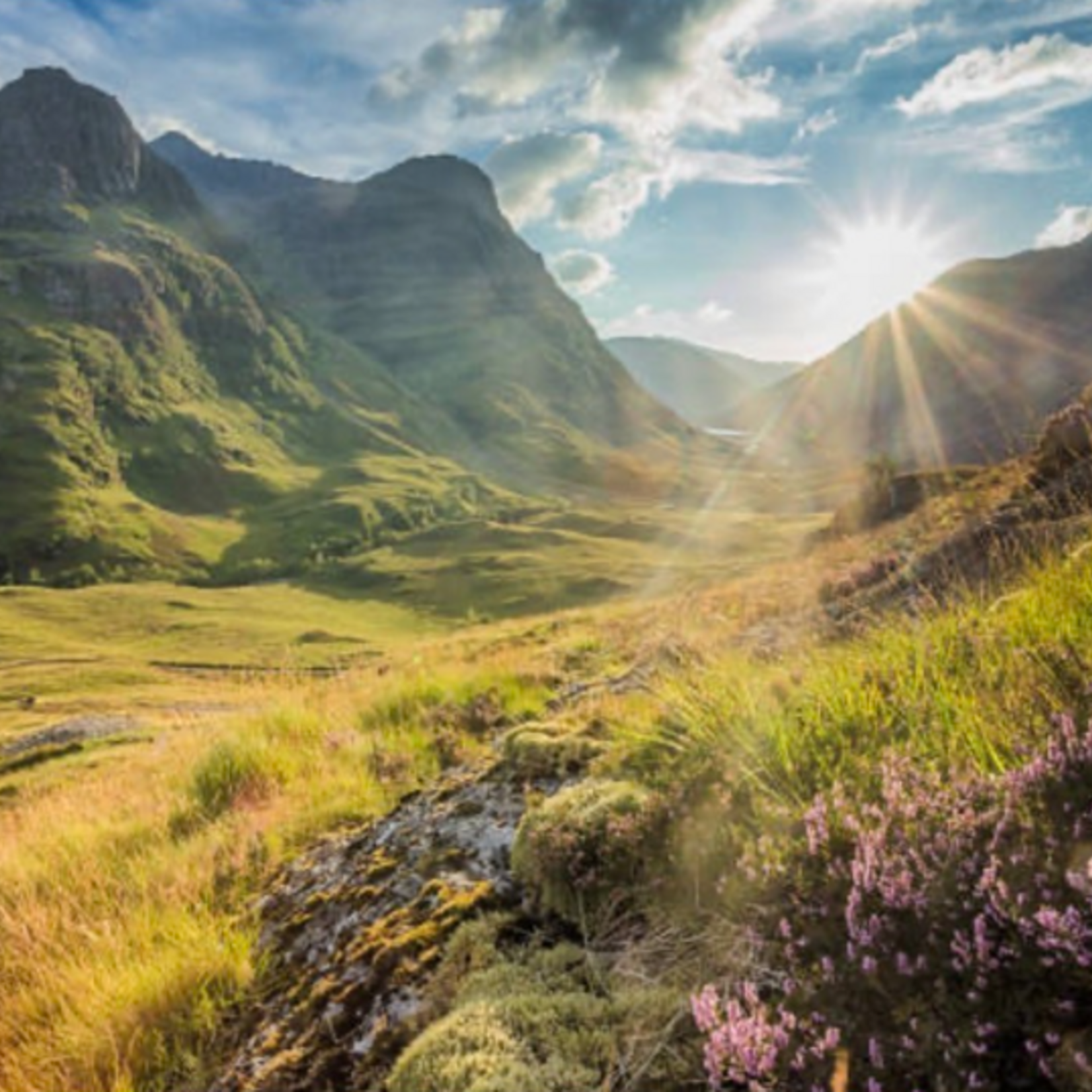 Maia Rhenish From the Highlands to the Heart:  An Autumn Sound Bath Journey Inspired by the Ancient Lands of Scotland (October 11th, 2026)