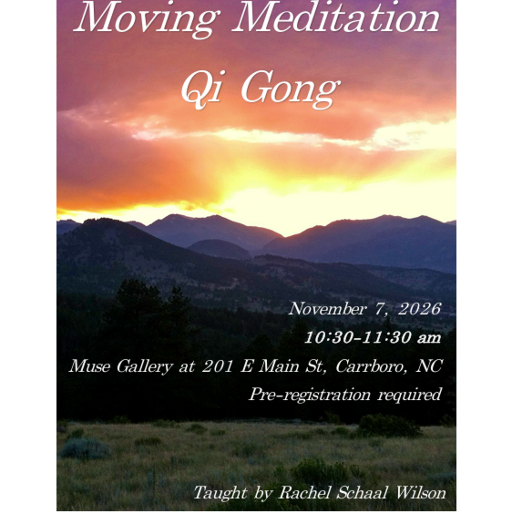 Rachel E Schaal Wilson Moving Meditation Qigong with Rachel (November 7th, 10:30 am - 11:30 am)