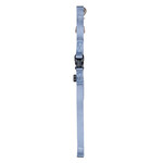 Zeus Zeus laisse en nylon azurin moyenne 4pi/leash baby blue medium 4ft