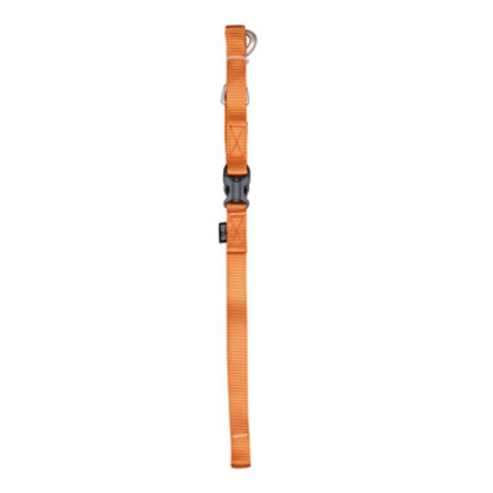 Zeus Zeus laisse en nylon tangerine moyenne 4pi/leash tangerine medium 4ft