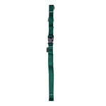 Zeus Zeus laisse en nylon très grande pin 4pi/leash nylon forest green X-Large 4ft