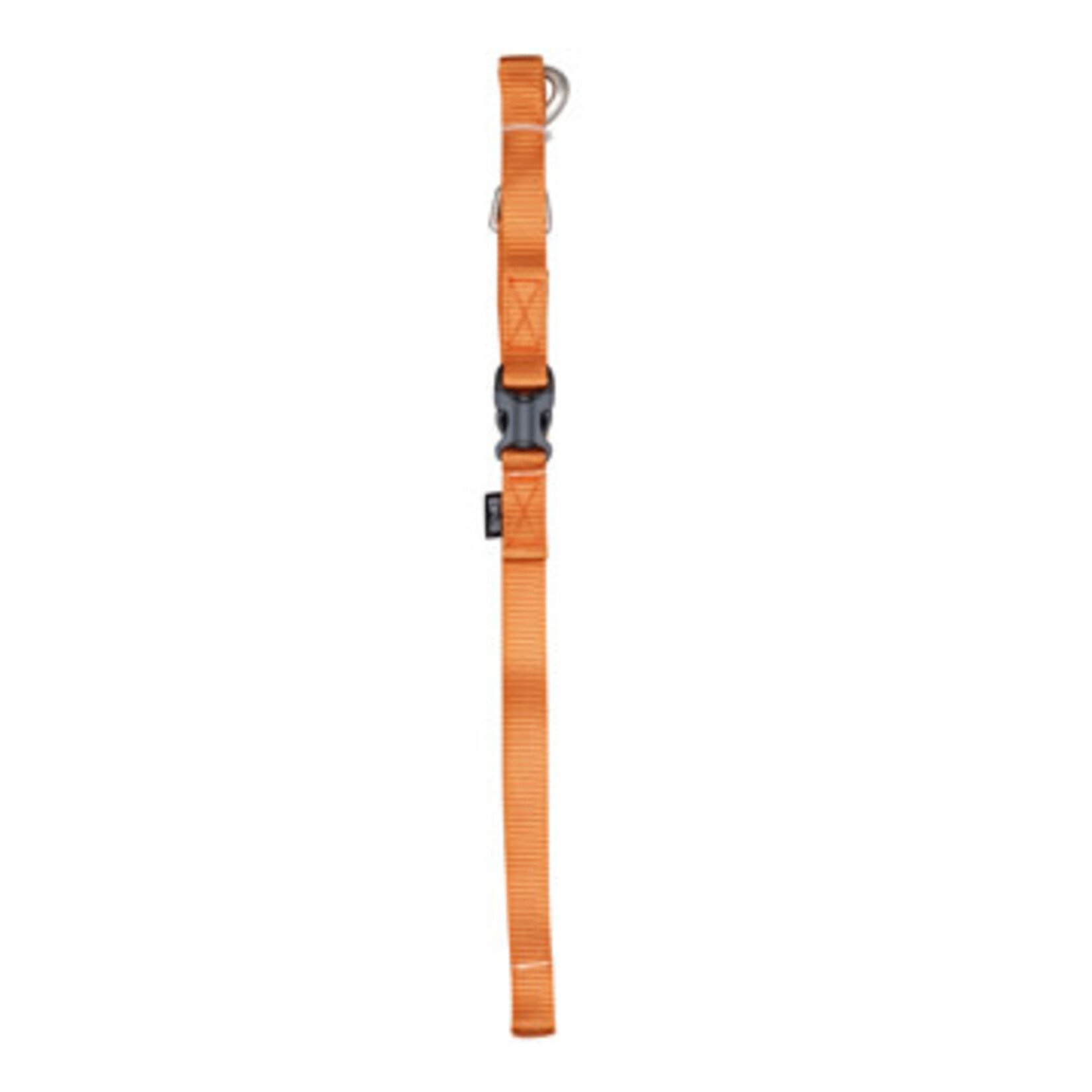 Zeus Zeus laisse en nylon tangerine très grande 4pi/leash tangerine X-Large 4ft