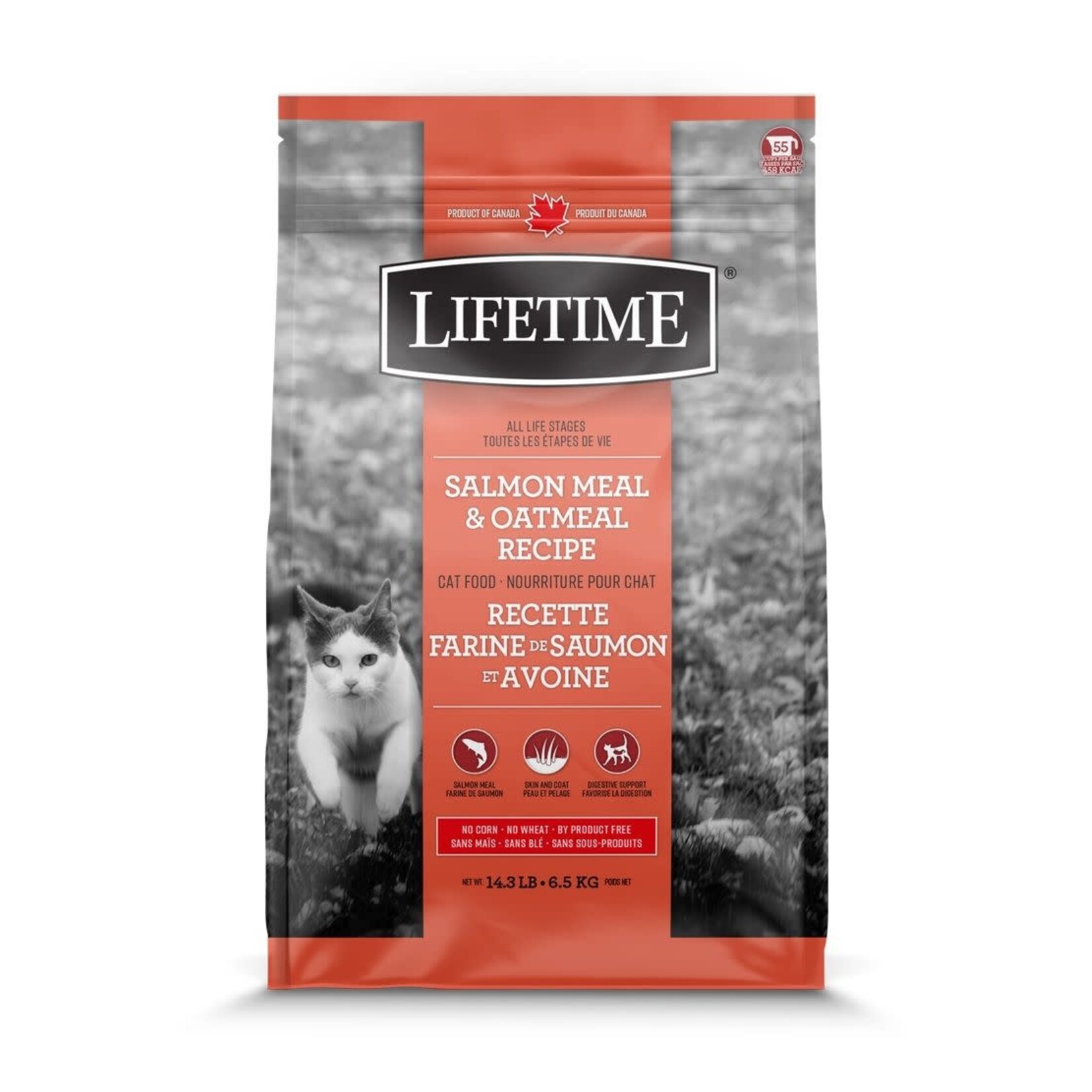 TROUW NUTRITION Trouw Nutrition Lifetime Nourriture Pour Chat, Saumon/avoine 6.5 Kg