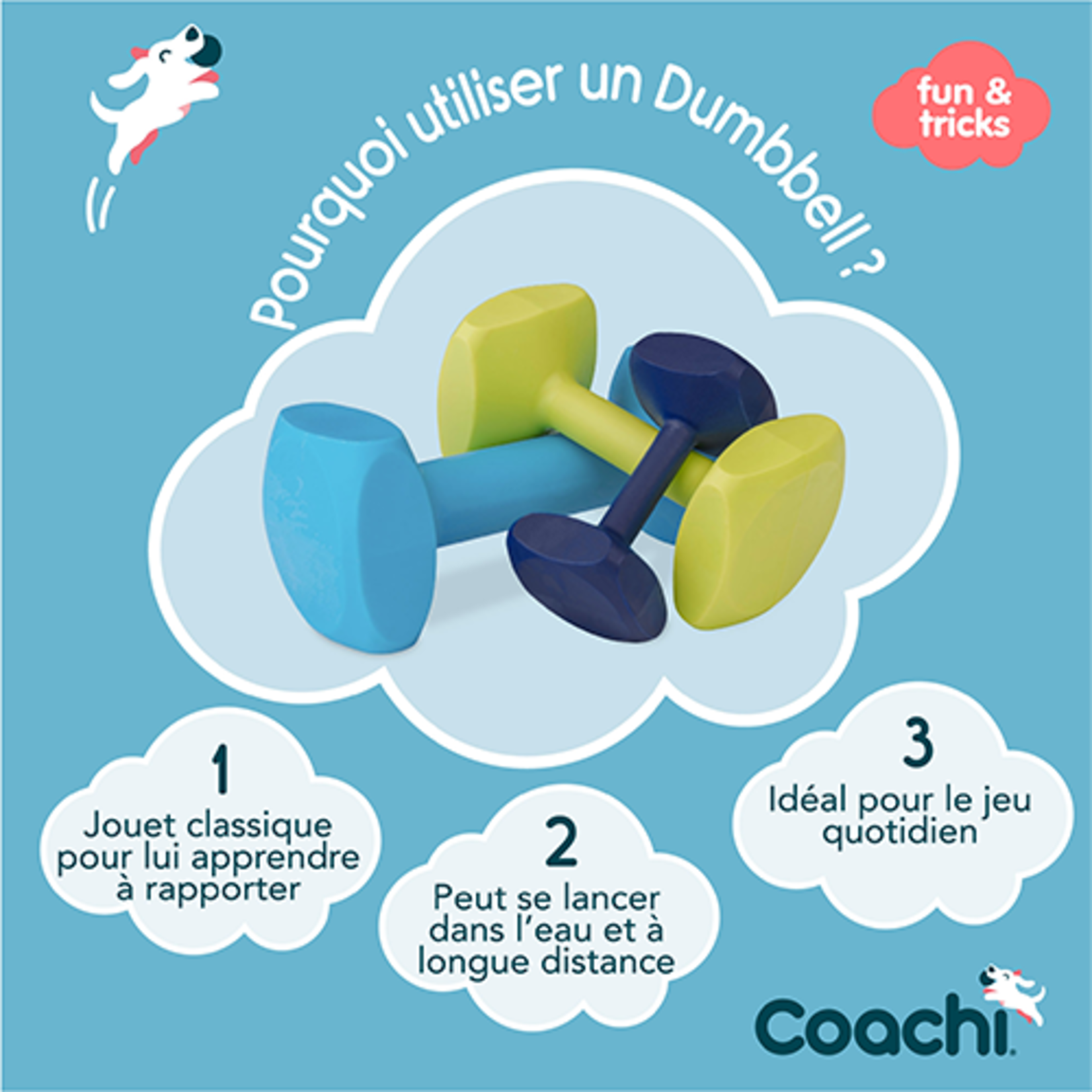 Coachi Company of Animals® Coachi® Dumbell d'entraînement bleu marin - Petit