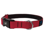 NAHAK SPORTS Nahak  Collier pour chiens | Rembourré avec clip - Rouge - Large