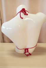 Carole D Haut de maillot Anne-Sophie 1