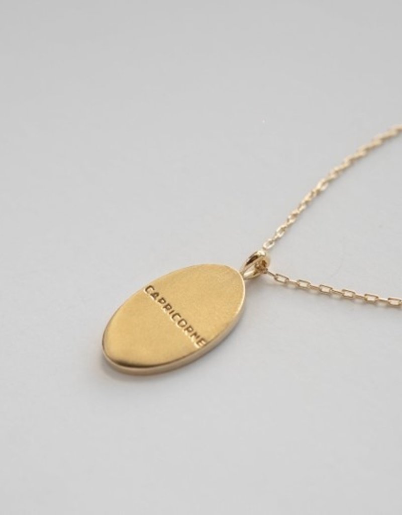 Welldunn Collier signe astrologique capricorne