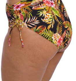 Elomi Culotte de maillot de bain Tiger Valley ES802373  BLK