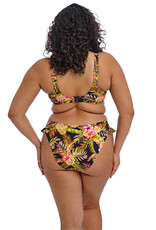 Elomi Haut de maillot de bain Tiger Valley ES802302 BLK