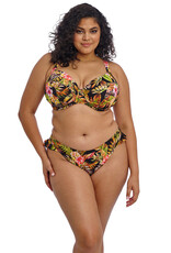 Elomi Haut de maillot de bain Tiger Valley ES802302 BLK