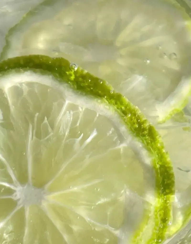Moonday Chandelle cire de soya Give me a break / sous les plamiers