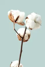 Moonday Chandelle cire de soya Ménage de printemps