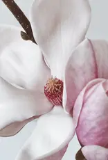 Moonday Chandelle cire de soya Bisou