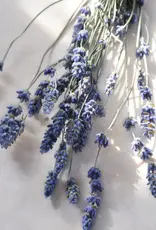 Moonday Chandelle cire de soya Arctic Breeze