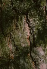 Moonday Chandelle cire de soya Journée de pluie