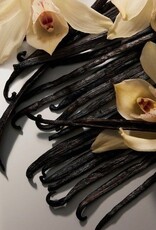 Moonday Chandelle cire de soya Carte Postale