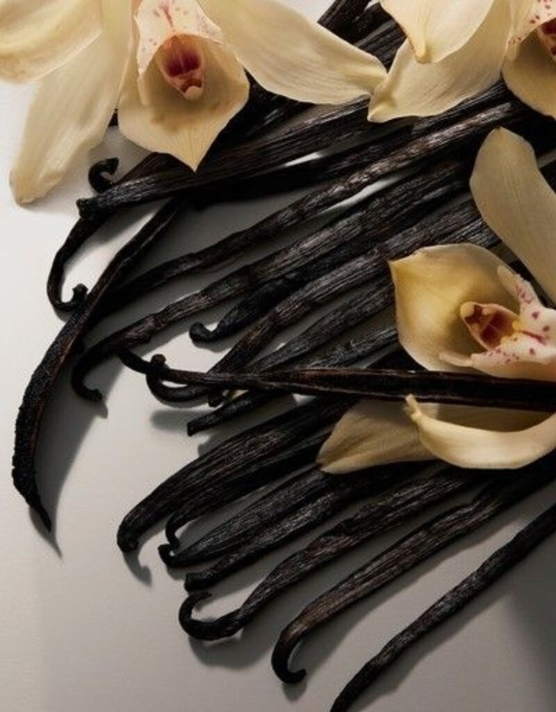 Moonday Chandelle cire de soya Carte Postale