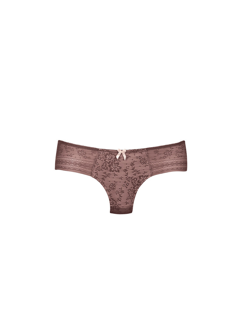 Rosa Faia Culotte fleur 1353 769 rose framboise