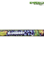 Cyclones Cyclones blueberry