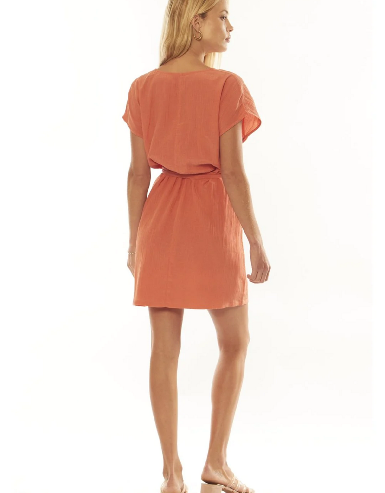 Amuse BUTTERFLIES DRESS