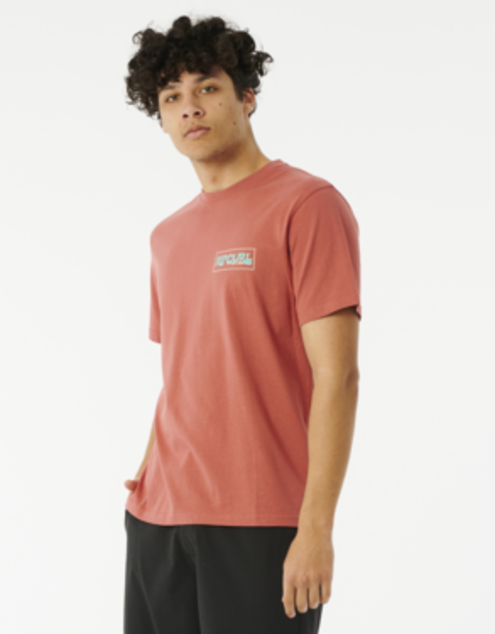 RVCA PACIFIC RINSE REEF TEE