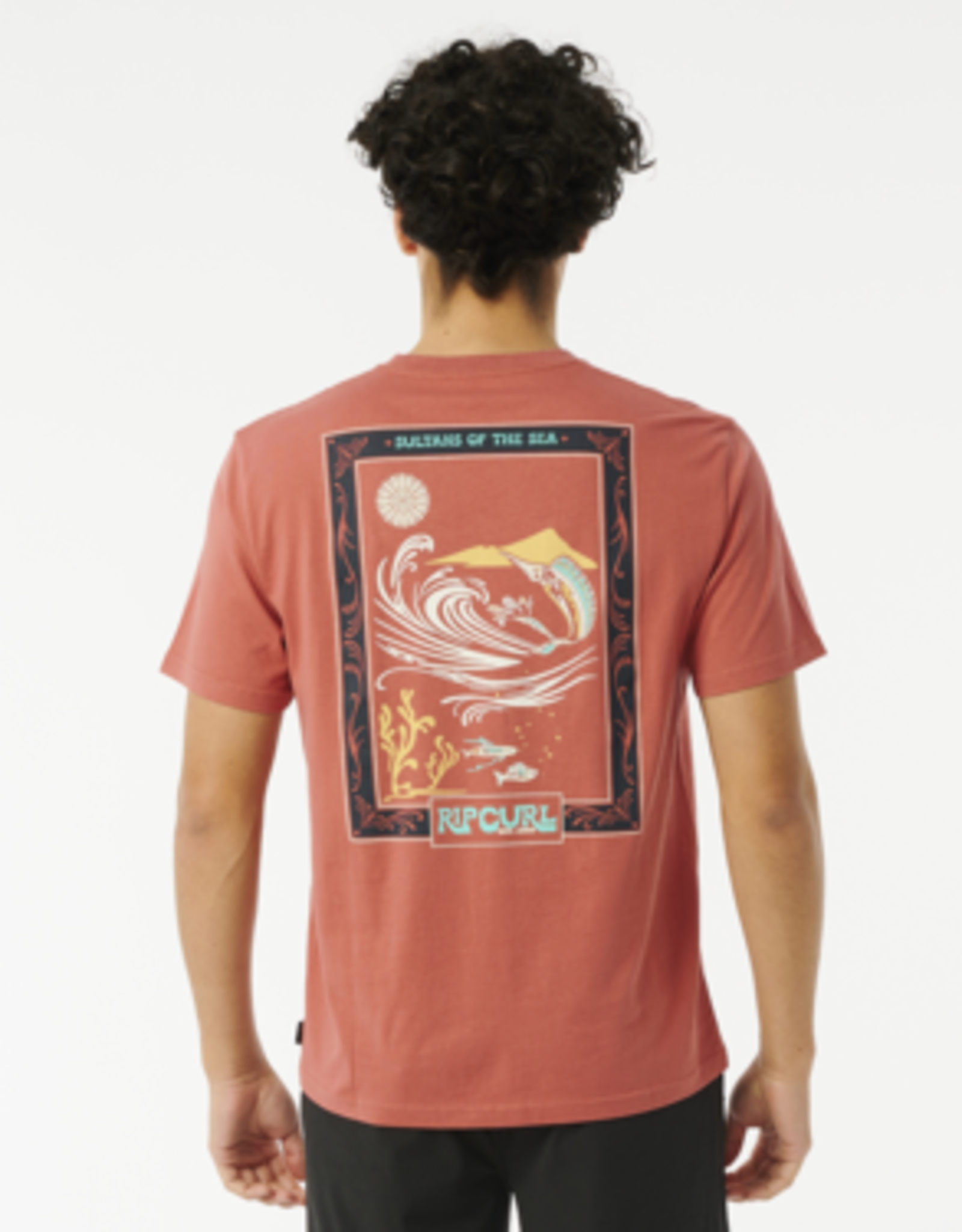 RVCA PACIFIC RINSE REEF TEE