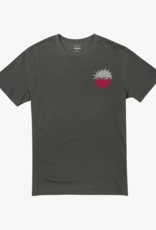RVCA SOLAR CORP SS T