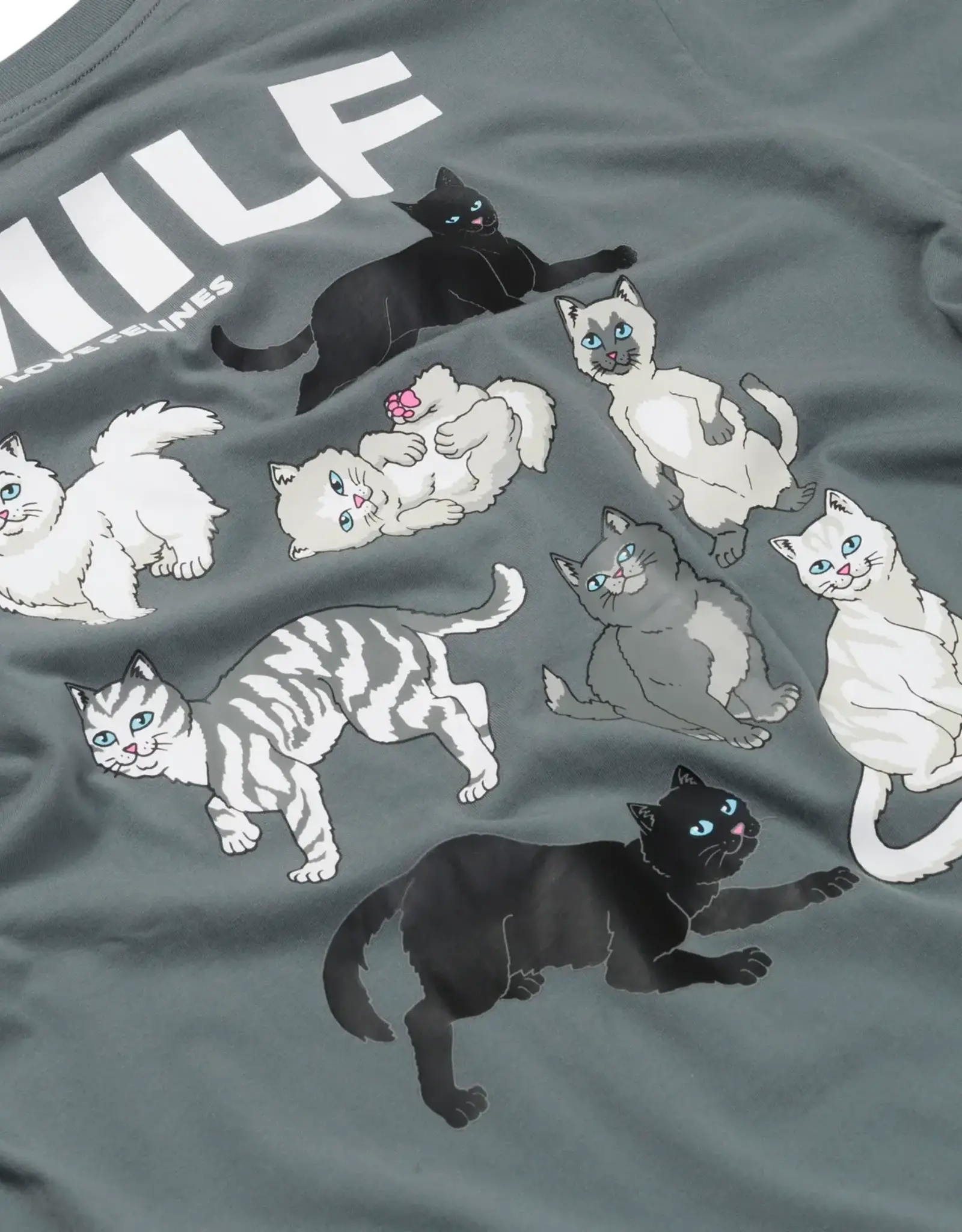 Ripndip RIPNDIP T-SHIRT MAN I LOVE FELINES