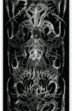 REAL SKATEBOARDS CHANDLER VIVI 8.5
