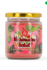 S010016 13oz Watermelon Sorbet Candle