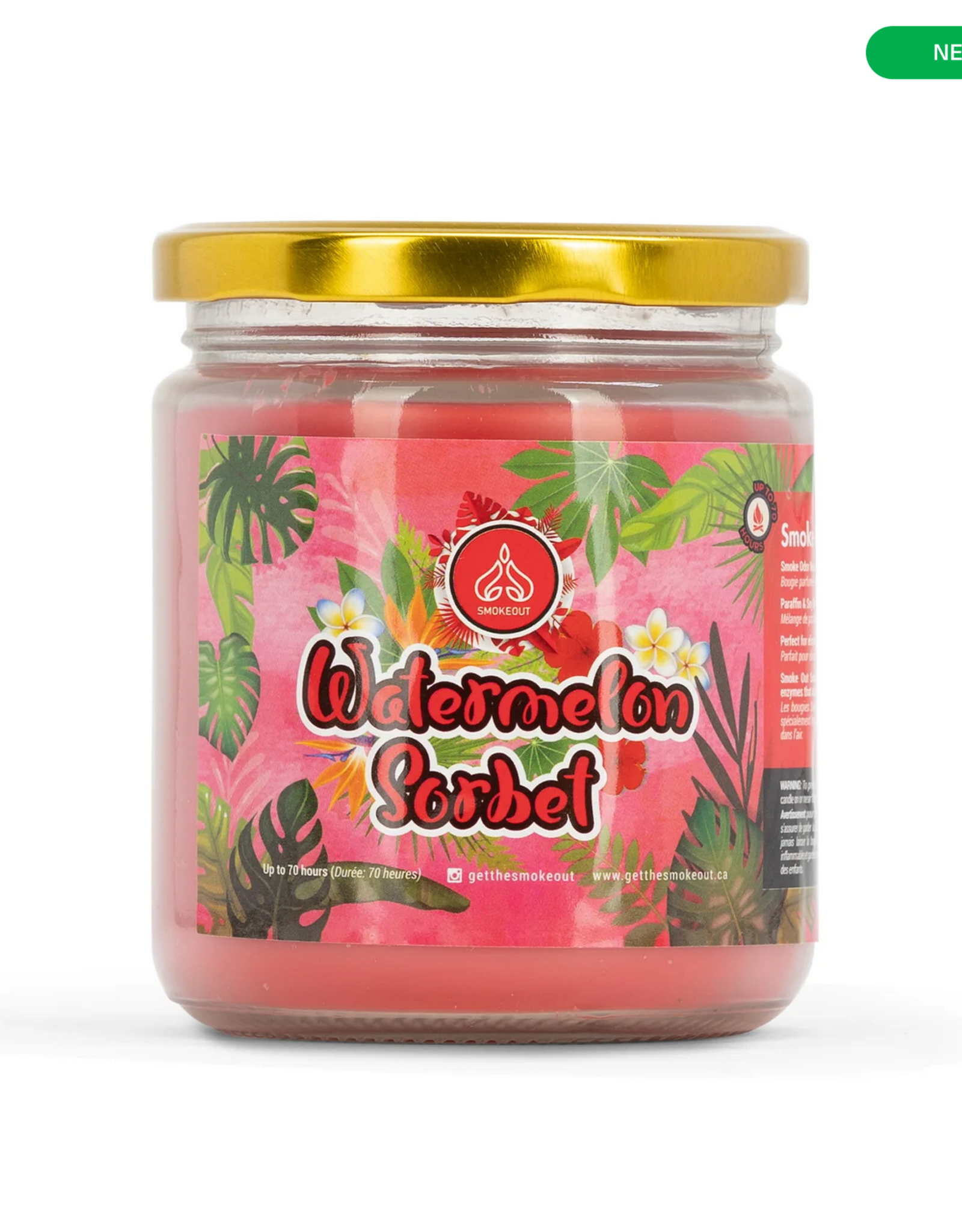 S010016 13oz Watermelon Sorbet Candle