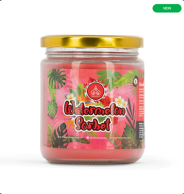 S010016 13oz Watermelon Sorbet Candle