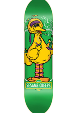 Shortys SHORTYS - BIG BIRD (8.25) MULTI / 8.25