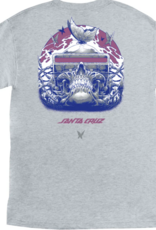 Santa Cruz WOOTEN CYBER SKULL