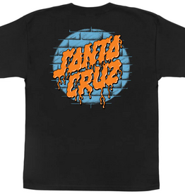 Santa Cruz YOUTH DELFINO SPOTLIGHT DOT