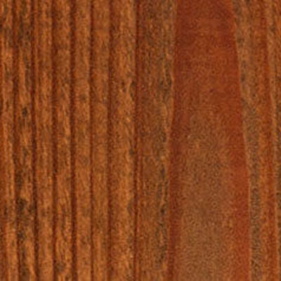 Wood Defender Wood Defender Transparent Wood Stain and Sealer