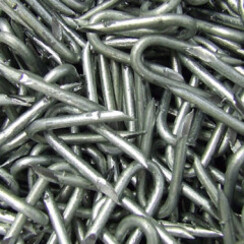 Meriwether 1 3/4" Barb Staples Class A 50 lb bucket