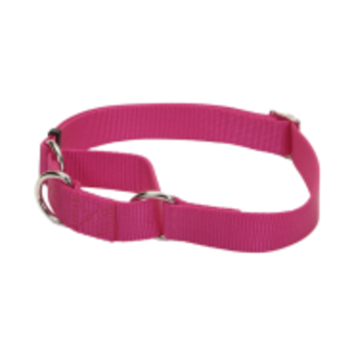 6 8 Pink Harley Davidson Collar Kootenay Pet Stop