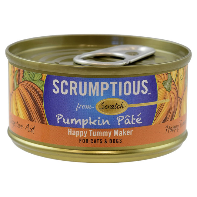 Scrumptious 2.8oz Pumpkin Pate