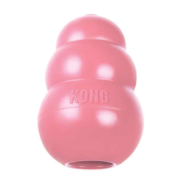 Kong Puppy Kong