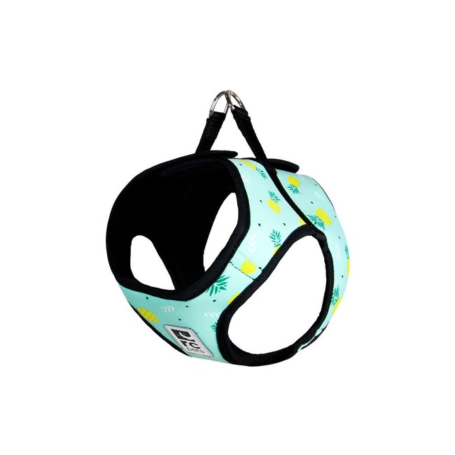 RC Pets Cirque Step in Harness