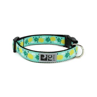 RC Pets Fruit & Flowers Patterned Clip Collars