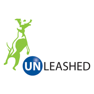 Unleashed Boss Pillow***Clearance****
