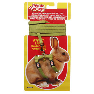 Living World Green Lead & Harness****Clearance****
