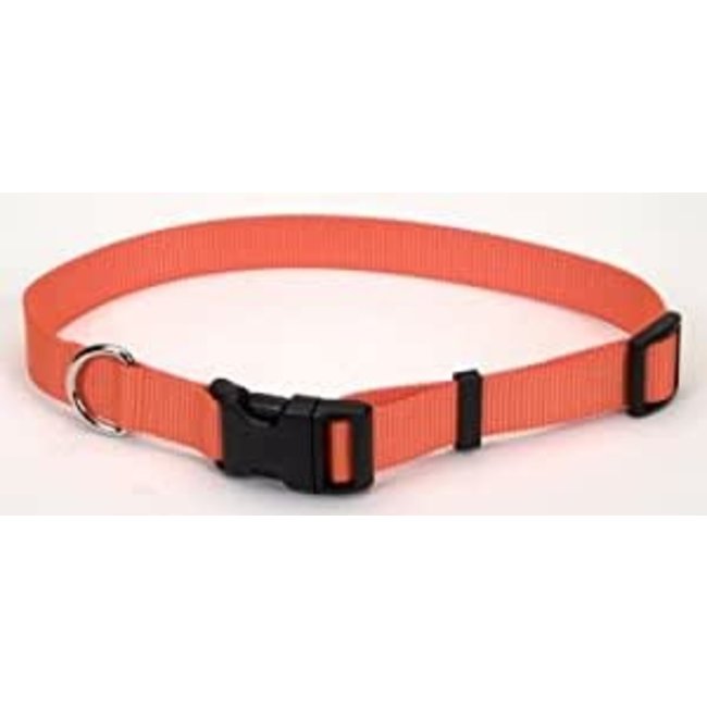 Coastal Adjustable Nylon Clip Collar