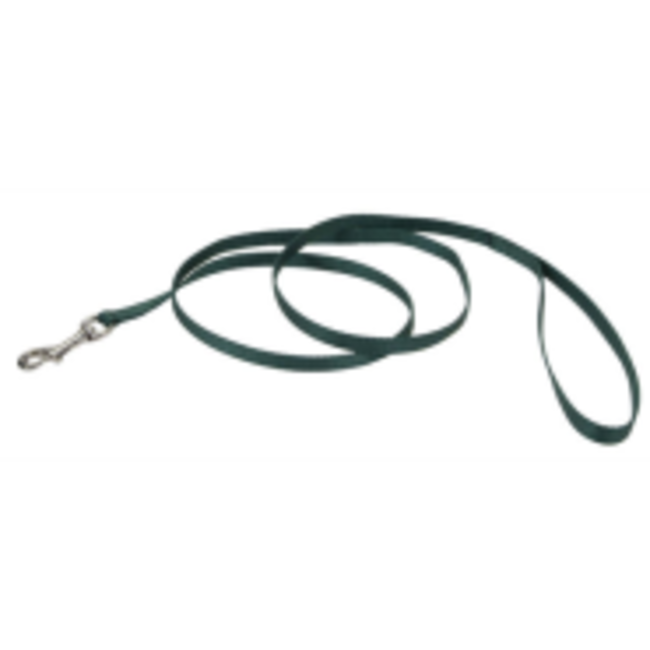 Coastal Nylon Leads 3/8"****On Sale****