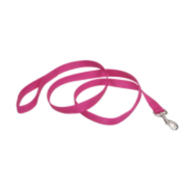 Coastal Nylon Leads 1"***Sale****