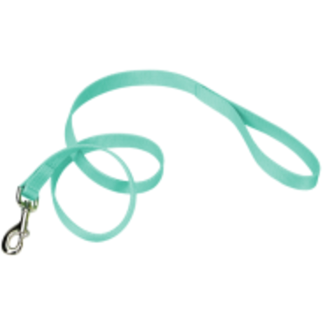 Coastal Nylon Leads 1"***Sale****