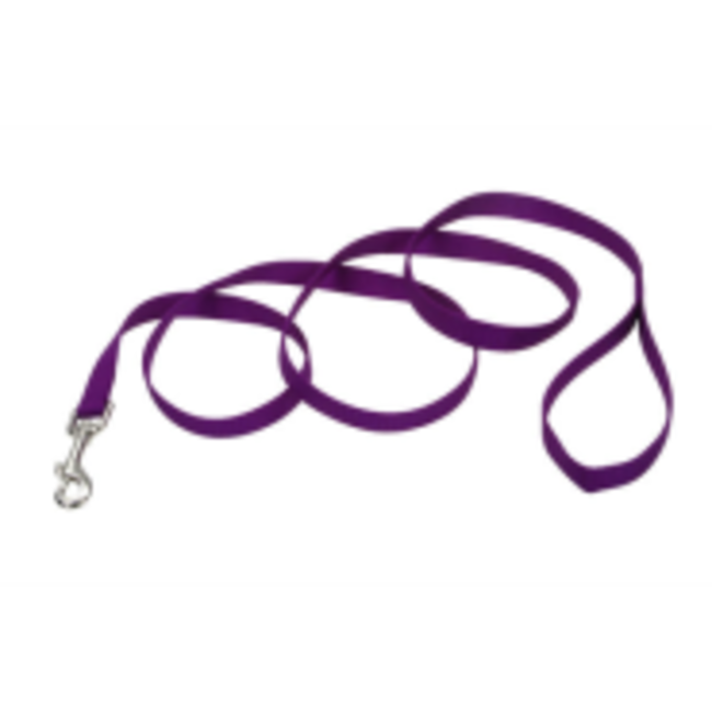 Coastal Nylon Leads 1"***Sale****